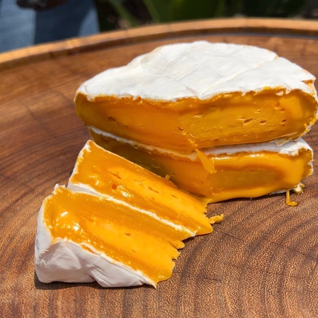 Kit Trio Cremoso 1Kg [+BRINDE]