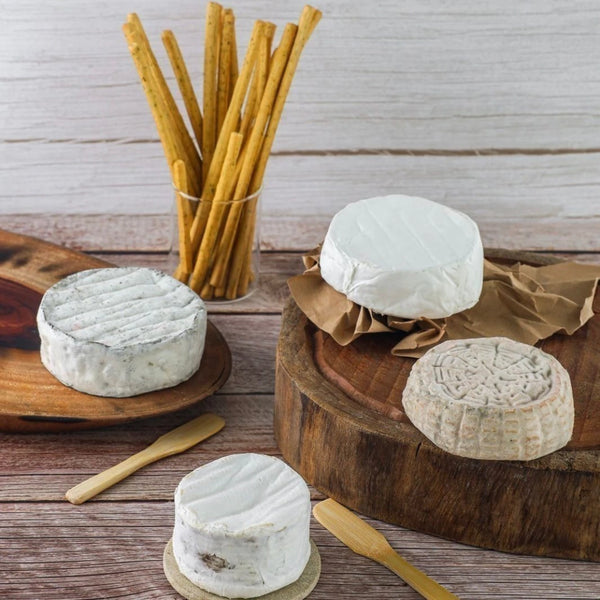 Kit 4 Cremosos - 1.6Kg [+BRINDE]